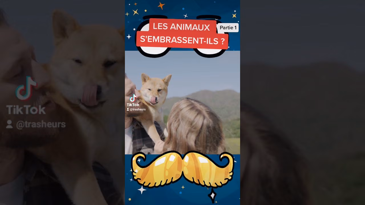 Les animaux s'embrassent-ils ?(Partie 1)