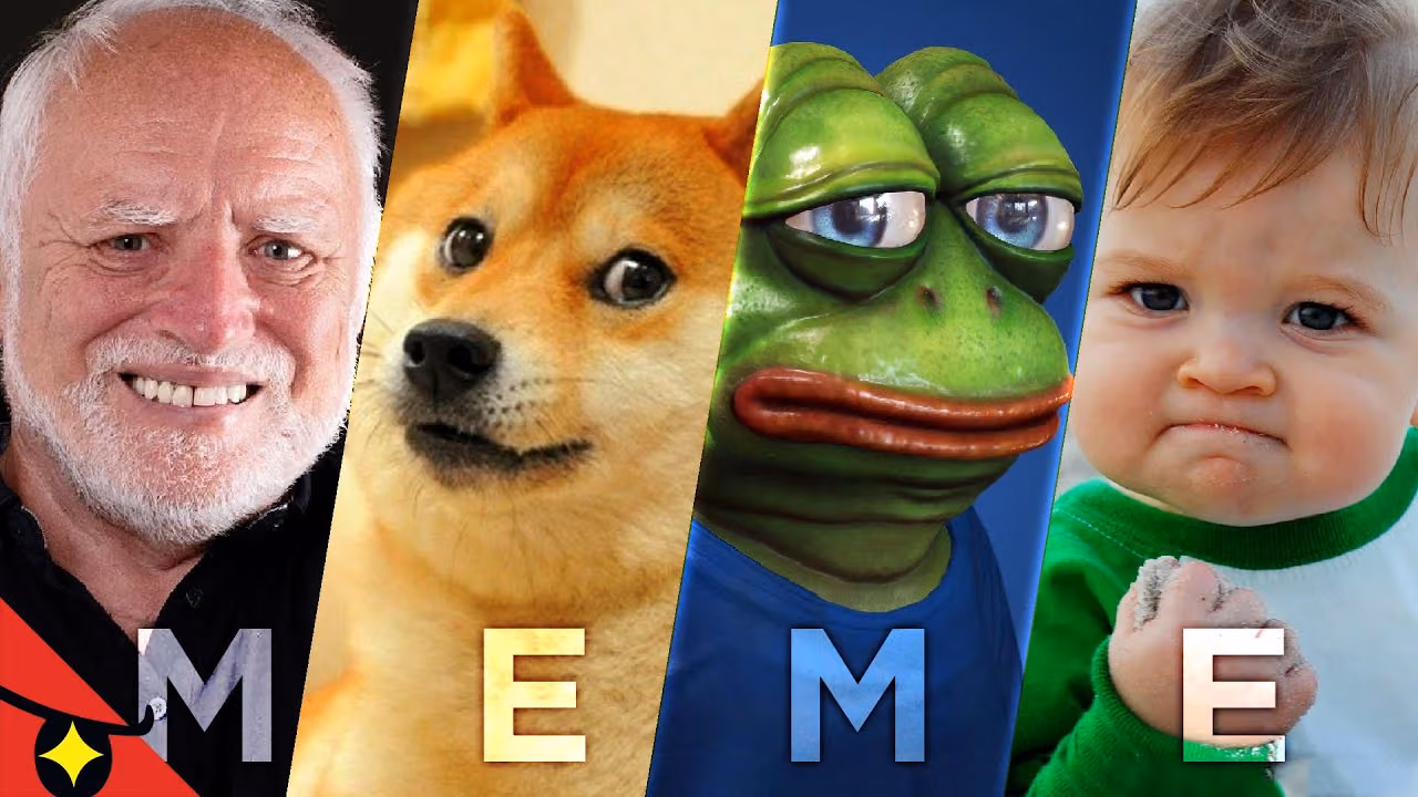 Ces MEMES à l'histoire TRAGIQUE (que sont-ils devenus ?)