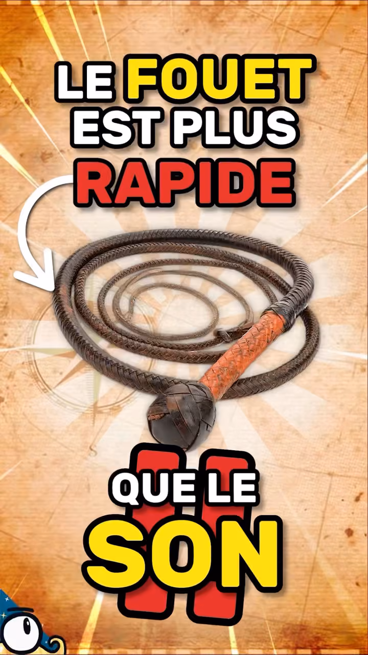 Le FOUET DÉPASSE la vitesse du SON !