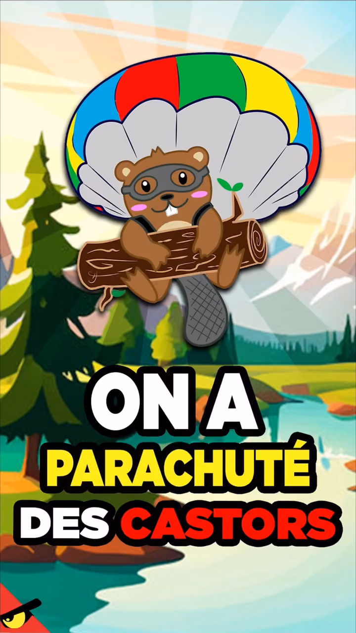 On a PARACHUTÉ des CASTORS !?