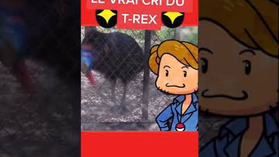 Le vrai cri du T-Rex !