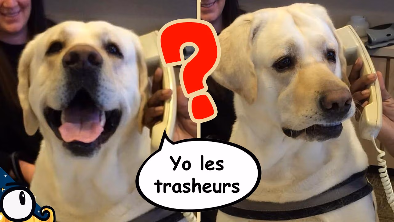 Pourquoi les ANIMAUX ne PARLENT PAS ?