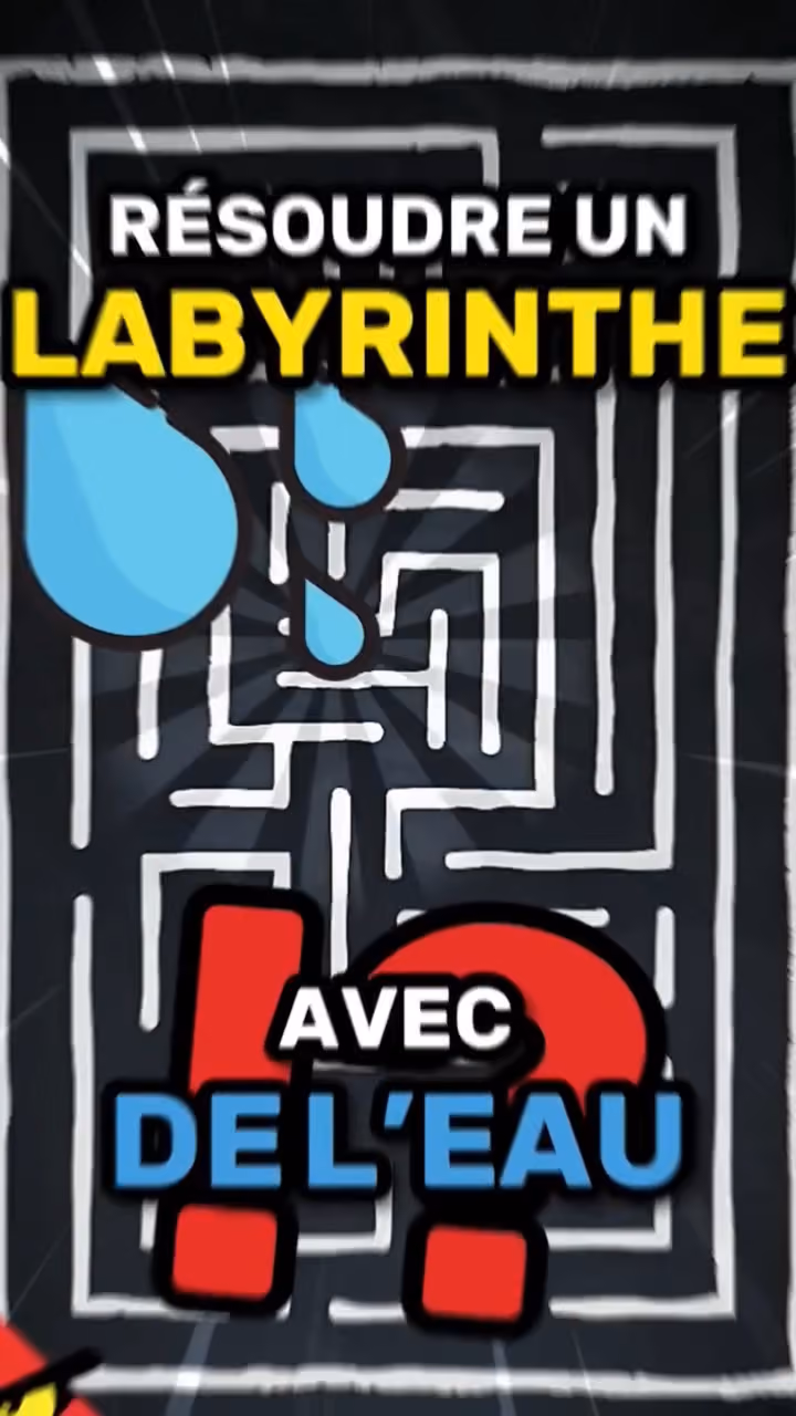 On peut résoudre un LABYRINTHE avec de L'EAU !?