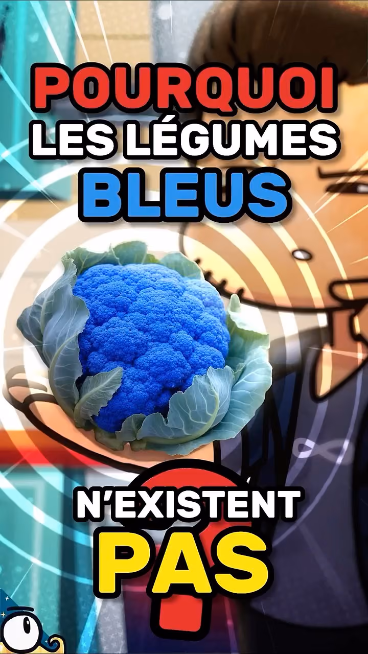 Les LÉGUMES BLEUS n'existent pas ?