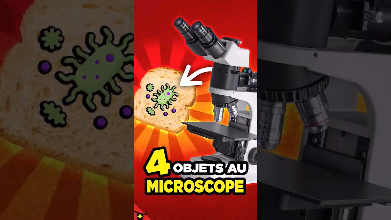 4 OBJETS ÉTONNANTS passés au MICROSCOPE !