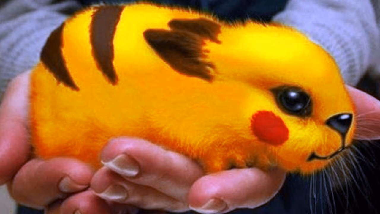 Les POKEMON sont RÉELS