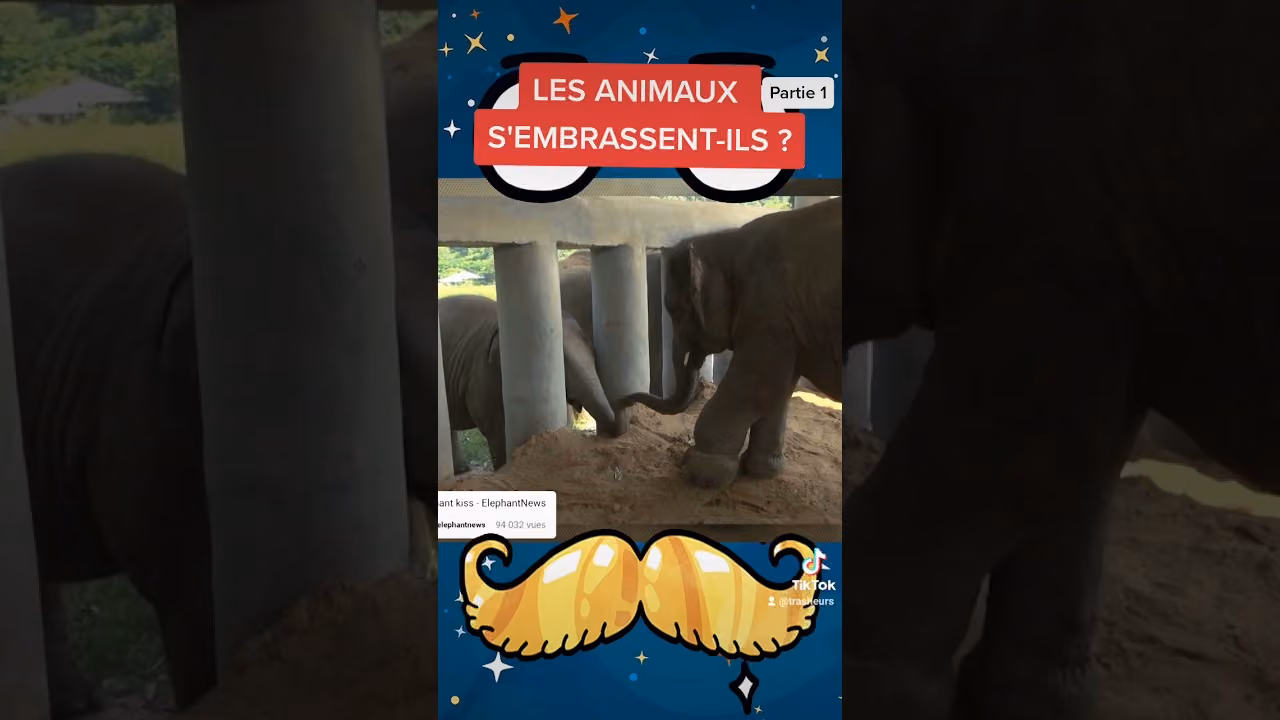 Les animaux s'embrassent-ils ?(Partie 2)