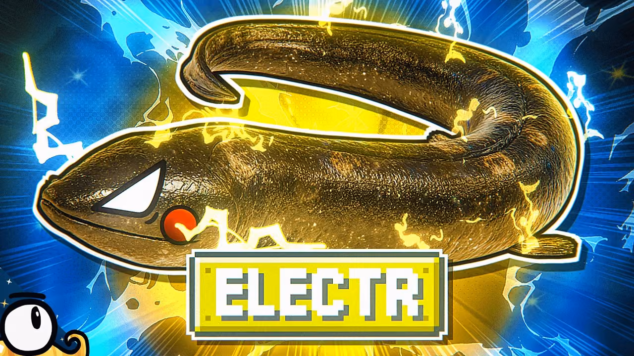 Les VRAIS POKÉMON électriques !