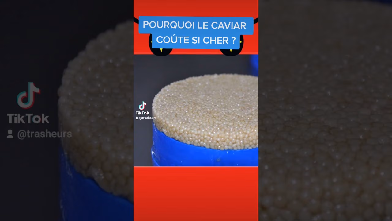 Pourquoi le caviar coûte si cher ?