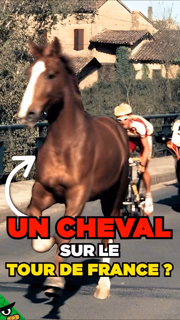 Un CHEVAL s'est INTRODUIT au TOUR de FRANCE