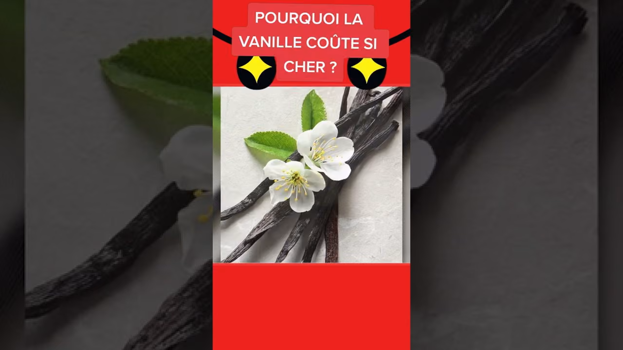 Pourquoi la vanille coûte si cher ?